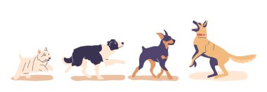 Bir bahçede dört köpeğin eğitim oturumuna katılışının vektör illüstrasyonu. Görüntü, çeşitli eğitim pozisyonlarında farklı köpek türleri, evcil hayvan eğitimi, itaat ve aktif evcil hayvan konsepti sunar