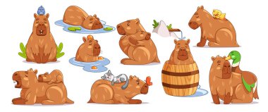 Çeşitli eğlenceli ve rahatlatıcı aktivitelerdeki şirin Capybaras seti neşe ve rahatlama yayar. Sevimli Capybaras çizgi filmi yüzüyor, dinleniyor ve kuşlar ve balıklar gibi diğer hayvanlarla etkileşime geçiyor.