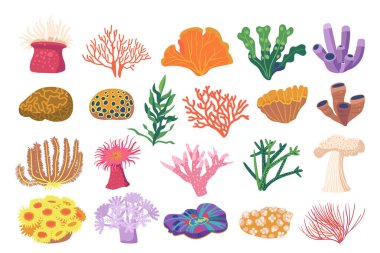 Renkli karikatür deniz bitkileri, mercanlar ve su altı Flora setleri deniz yaşamının çeşitliliğini ön plana çıkarıyor. Eğitim, Bilimsel ve Sanatsal Kullanımlar İçin Sualtı Türlerinin Detaylı ve Canlı Tasviri