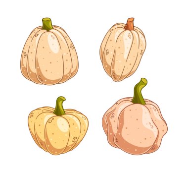 Sönük toprak tonlarında dört karikatür taşıyıcı balkabağı koleksiyonu sonbahar hasadının özünü gözler önüne seriyor, beyaz arka planda izole edilmiş güçlü yeşil kökleri ve dokuları olan farklı şekiller ve dokular içeriyor.