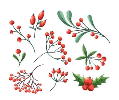 Kırmızı gül kalçalar, viburum ve rowan üzümleri yeni yıl bitkileri yeşil yapraklı soyut koleksiyon beyaz arka planda izole edildi. Biçimlendirilmiş botanik seti mevsimsel dekorasyon vektör çizimi