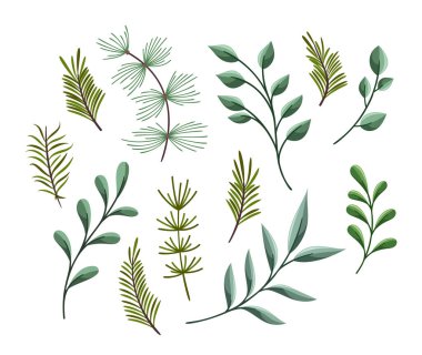 Beyaz arka planda izole edilmiş, yeşil kozalaklı ağaç dallarının soyut yeni yıl baskıları. Kış bitkileri tasarım elementleri mevsimsel botanik toplama vektörü illüstrasyonu