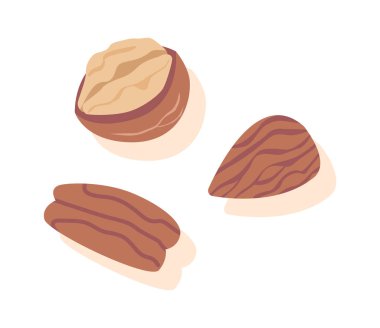 Ceviz ve badem tohumları