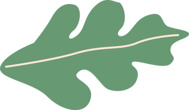 Egzotik yeşil bitki yaprağı