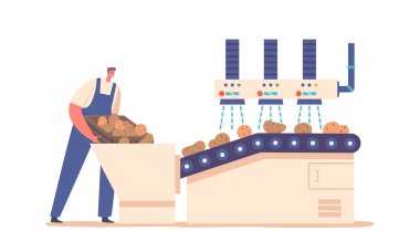 Patates cipsi üretim süreci. Fabrika Taşıyıcı Bantında Üniformalı Yıkanmış Çiğ Sebzeler Giyen İşçi Karakteri. Fabrika çalışanları montaj hattında çalışıyor. Çizgi film İnsanları Vektör İllüstrasyonu