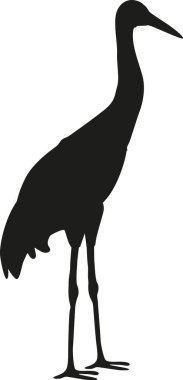 Heron arktik kuşu siyah-beyaz