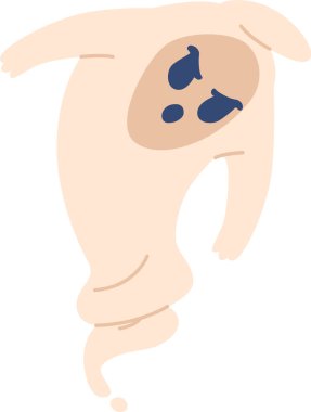 Ürkütücü uçan hayalet.