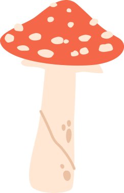 Uçan agarik sonbahar mantarı