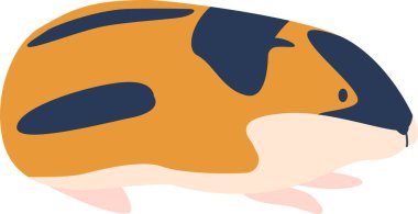 Arktik lemming kemirgen hayvanı