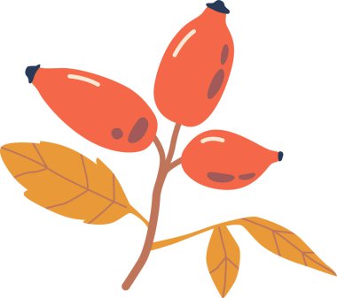 Gül kalça sonbahar bitkisi