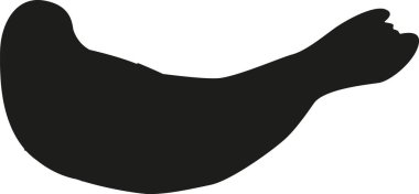 Siyah keşiş fok kutup hayvanı.