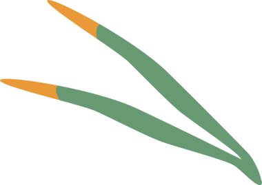 Sonbahar ormanı sararmış otlar