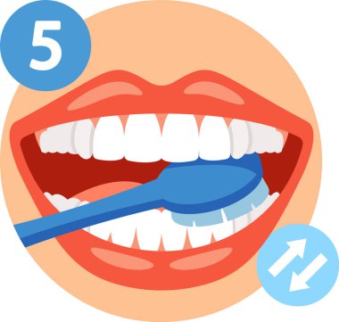 Alt sıra dişleri fırçala