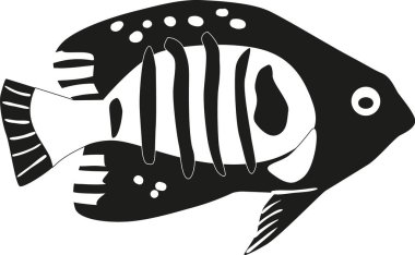 Siyah-beyaz tropikal balıklar