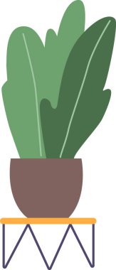 Masaya egzotik bir çiçek koydum.