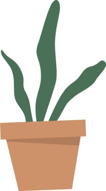 Esrar içinde büyüyen yeşiller