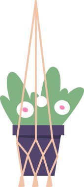 Saksıda sallanan çiçek