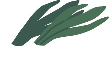 Baharatlı yeşil yapraklar.