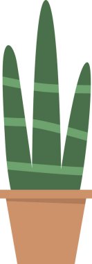 Aloe vera ev çiçeği saksısı