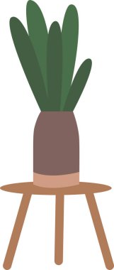 Aloe saksısı masada.