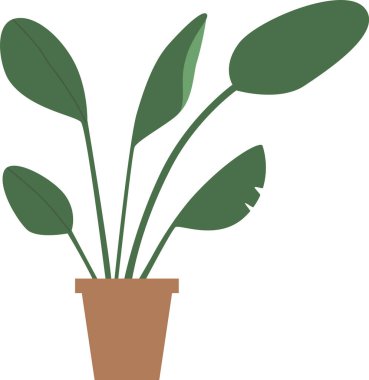 Saksıda yeşil çiçek yaprakları