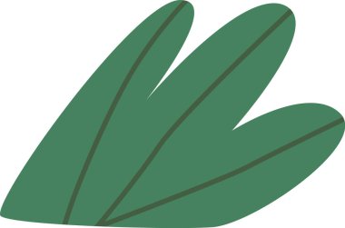 Yeşil çimen yaprakları