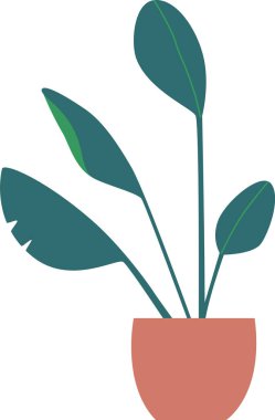 Esrar içinde botanik bileşimi