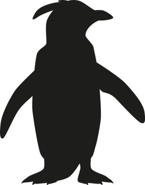 Penguen kutup hayvanı siyah-beyaz