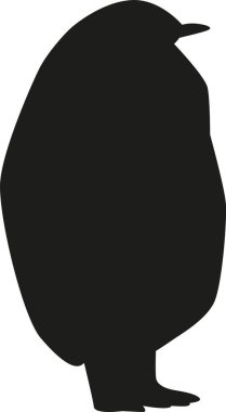 Siyah-beyaz penguen nesli tükenmekte olan türler