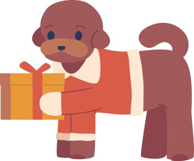 Noel hediyesi taşıyan kaniş köpeği.