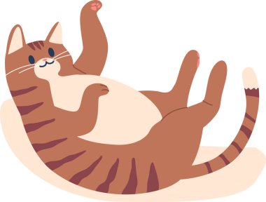 Hamaktaki komik tembel kedi.