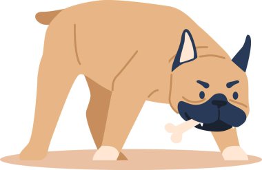 Dişlerinde kemik tutan köpek.