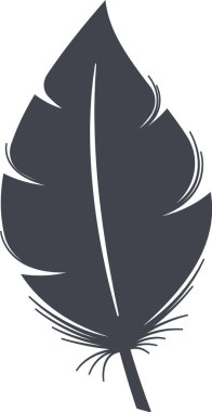 Büyük yırtıcı kuş tüyü