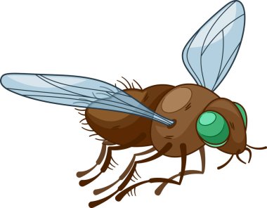 Uçan böcek hareket halinde