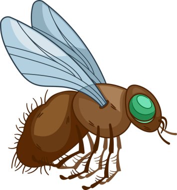 Uçan ve vızıldayan böcekler