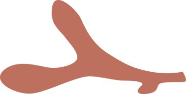 Kurumuş çiçek sapı.