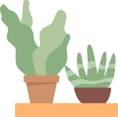 Yeşil sulu iki tencere.