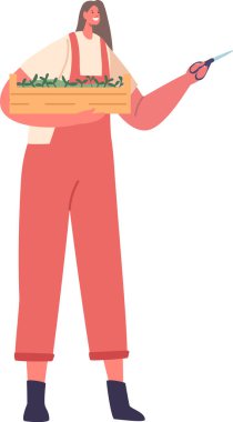 Mikroyeşilliklerle ilgilenen çiftçi