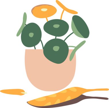 Saksıdaki solmuş çiçek.