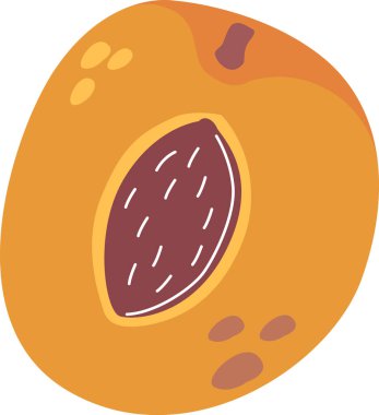 Olgun kayısı meyvesi ve tohum