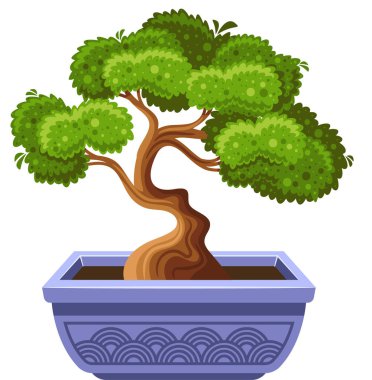 Bereketli bonsai ağacı saksısı