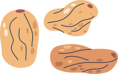 Beyaz üzümlü kuru üzüm.