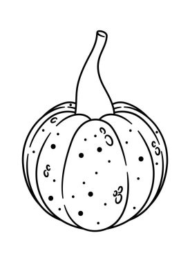 Balkabağı sebzesi sonbahar yemeği eskizi siyah beyaz kabak