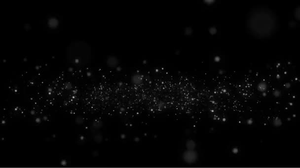黒と白の粒子のオーバーレイ装飾 黒の背景に遅い動き雪が降る雪が降る雪の結晶粒子がシームレスに黒をリング落下 — ストック動画