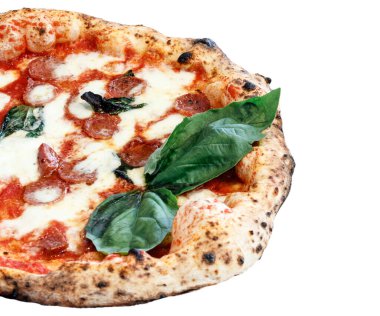 Beyaz arka planda lezzetli pizza margaritası. Bufalo mozzarella ve fesleğenli taze İtalyan pizzası. Baharatlı, domatesli ve peynirli Napoli pizzası.