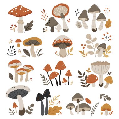 Bir dizi sonbahar mantarı. Vahşi orman mantarları. Zehirli ve yenilebilir mantar, chanterelle, seps, amanita ve mantar izole edilmiş vektör çizimi..