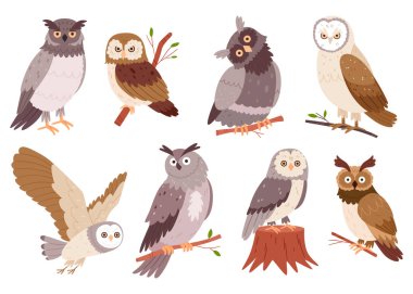 El çizimi baykuşlar. Vahşi orman kuşları. Uçan yaratıklar. Kuşbilim kitabı için elementler. Düz tasarım.