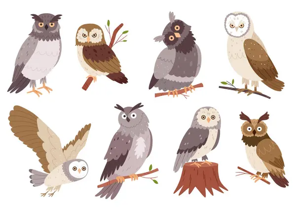 El çizimi baykuşlar. Vahşi orman kuşları. Uçan yaratıklar. Kuşbilim kitabı için elementler. Düz tasarım.