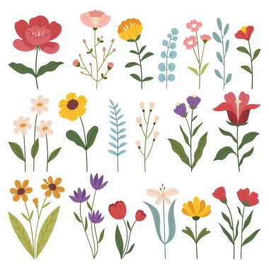 Çiçek ve botanik elementlerin toplanması vektörü. Yaprak, kır çiçekleri, bitkiler, çiçekler, yapraklar ve bitkiler. Dekor, web sitesi, grafik ve dükkan için el çizimi bahar mevsimi vektörü.