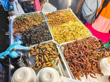 Popular street food,crunchy dried morsels,.A variety of invertebrates such as beetles,maggots,centipedes and scorpions,popular in southeast Asia.